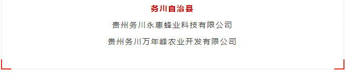 公益项目