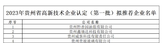 公益项目